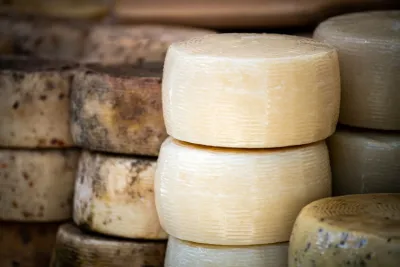 Pecorino