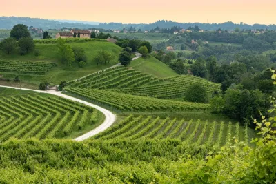 Valdobbiadene vigneto