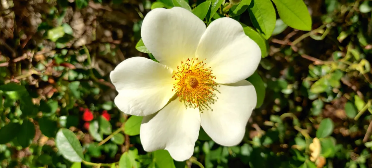 Tivoli da catturare: un giorno tra la Cittadella e Villa Gregoriana - Image 3
