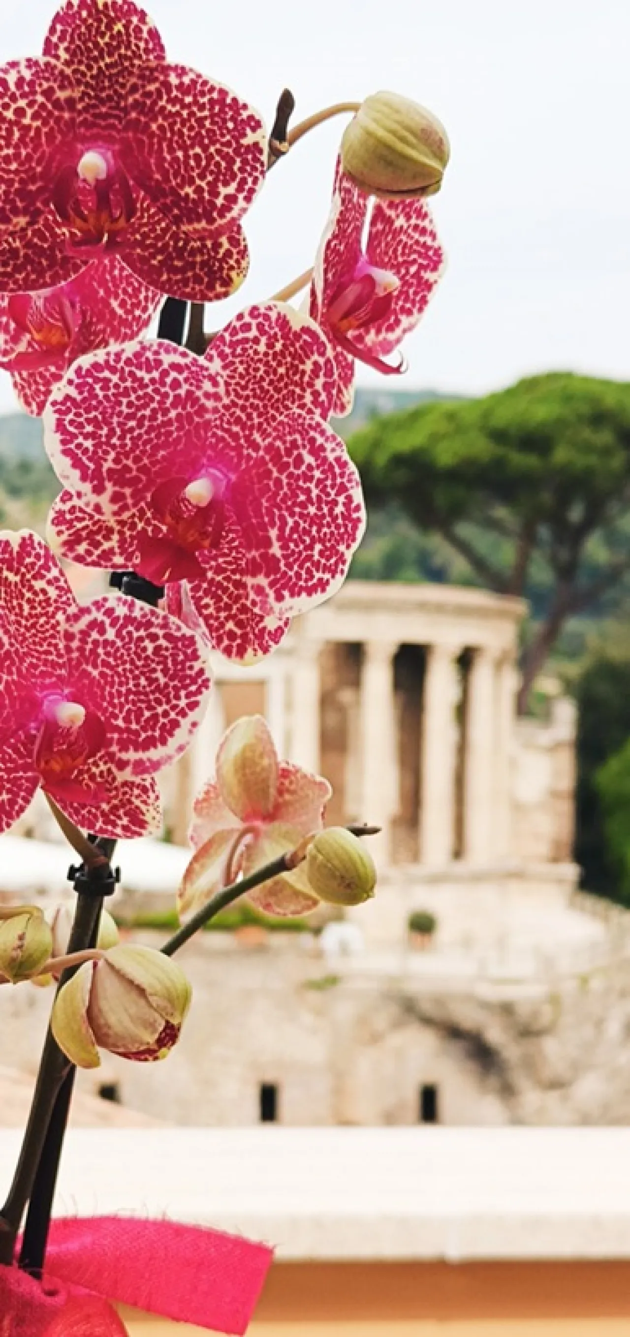 Tivoli da catturare: un giorno tra la Cittadella e Villa Gregoriana - Image 10