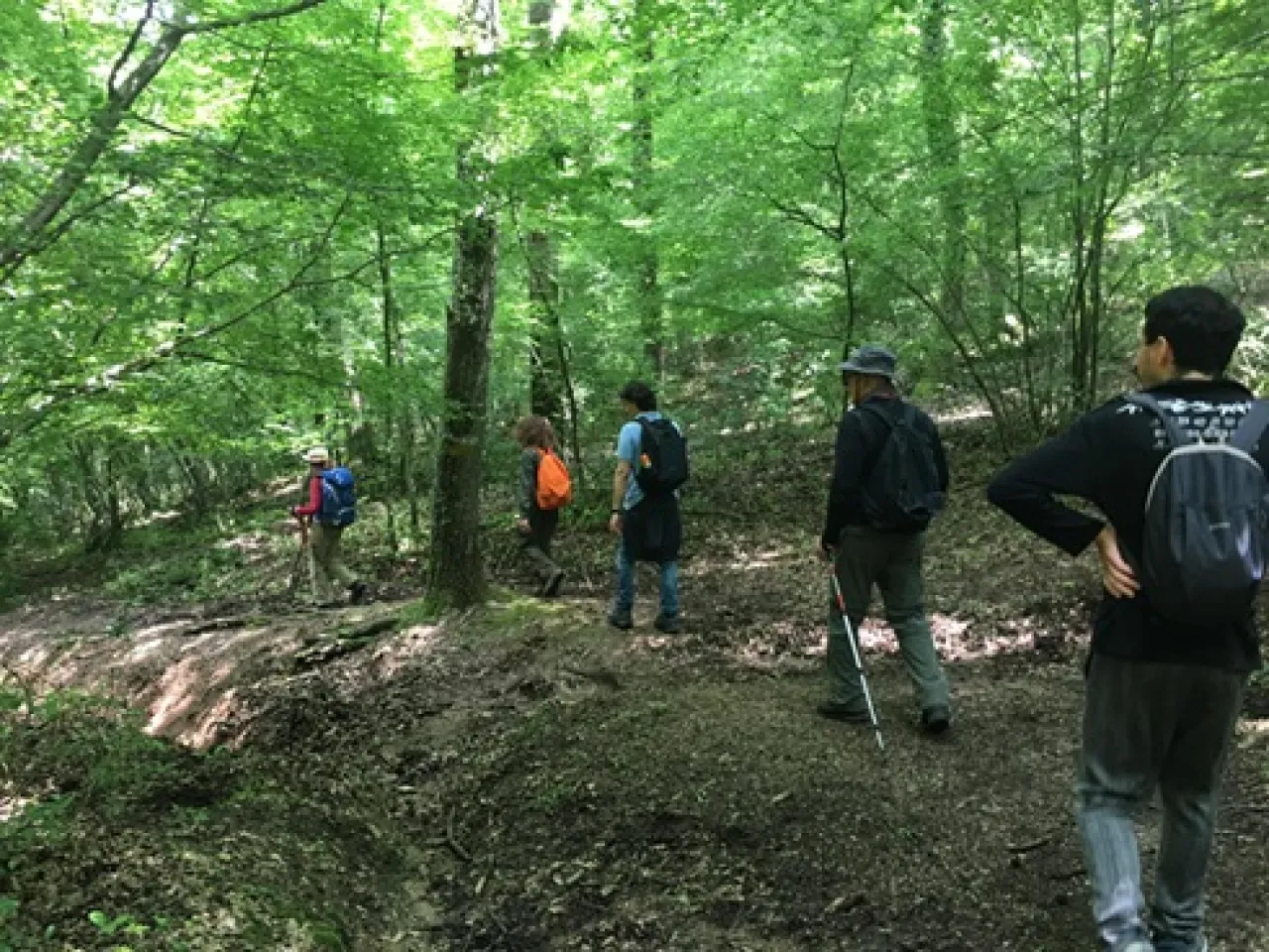 team building : Dall’Esperienza al Legame - Image 2