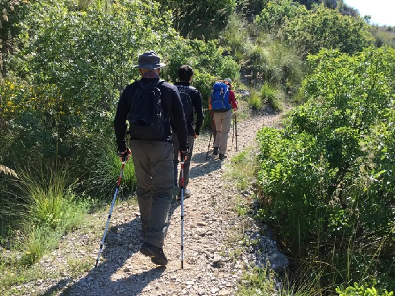 team building : Dall’Esperienza al Legame - Image 6