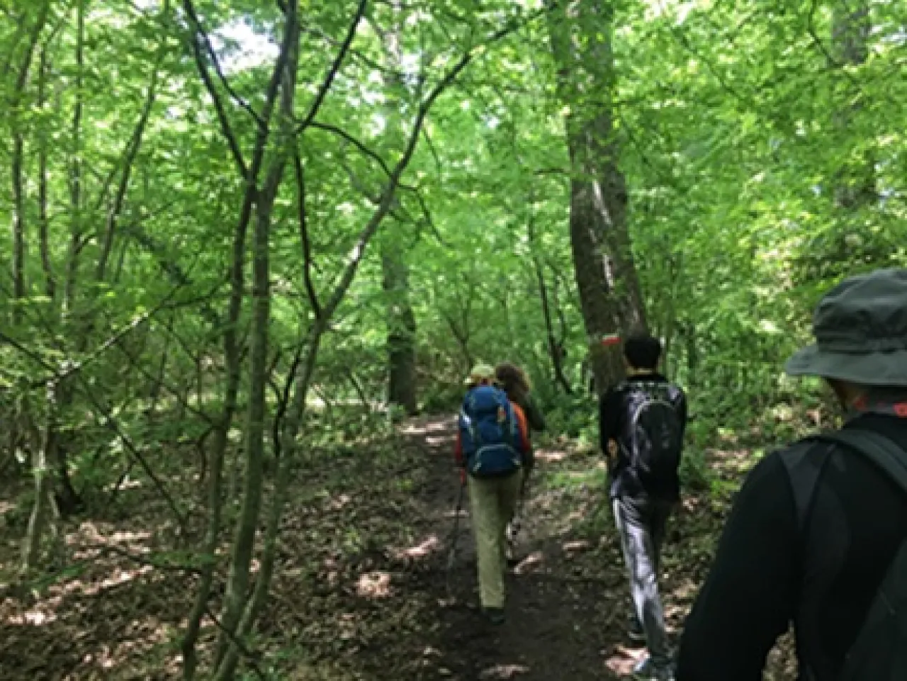 team building : Dall’Esperienza al Legame - Image 4