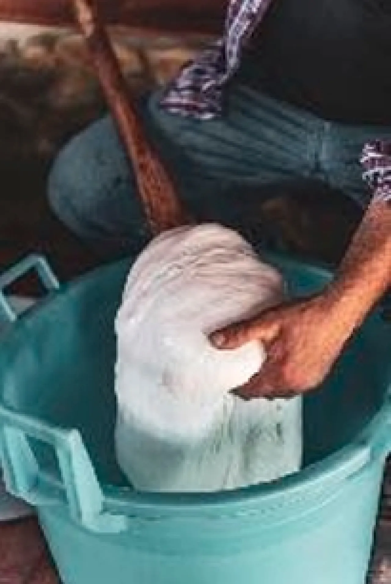 Cheese experience - Image 1