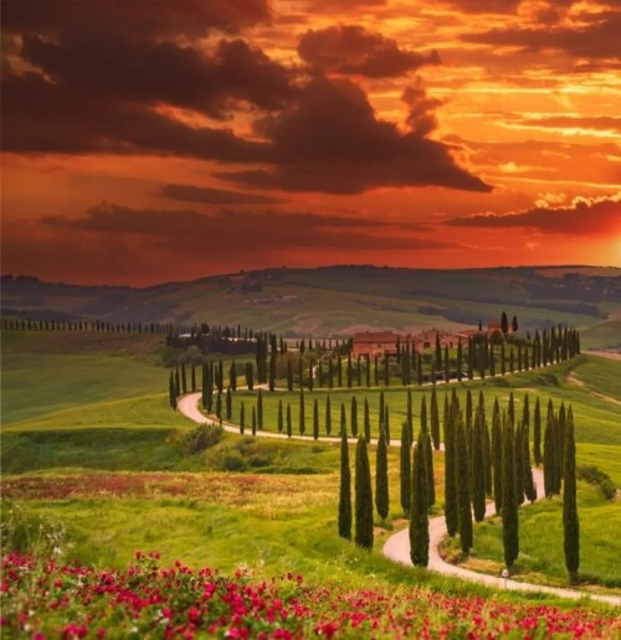 Heart of Chianti Tour - Image 2