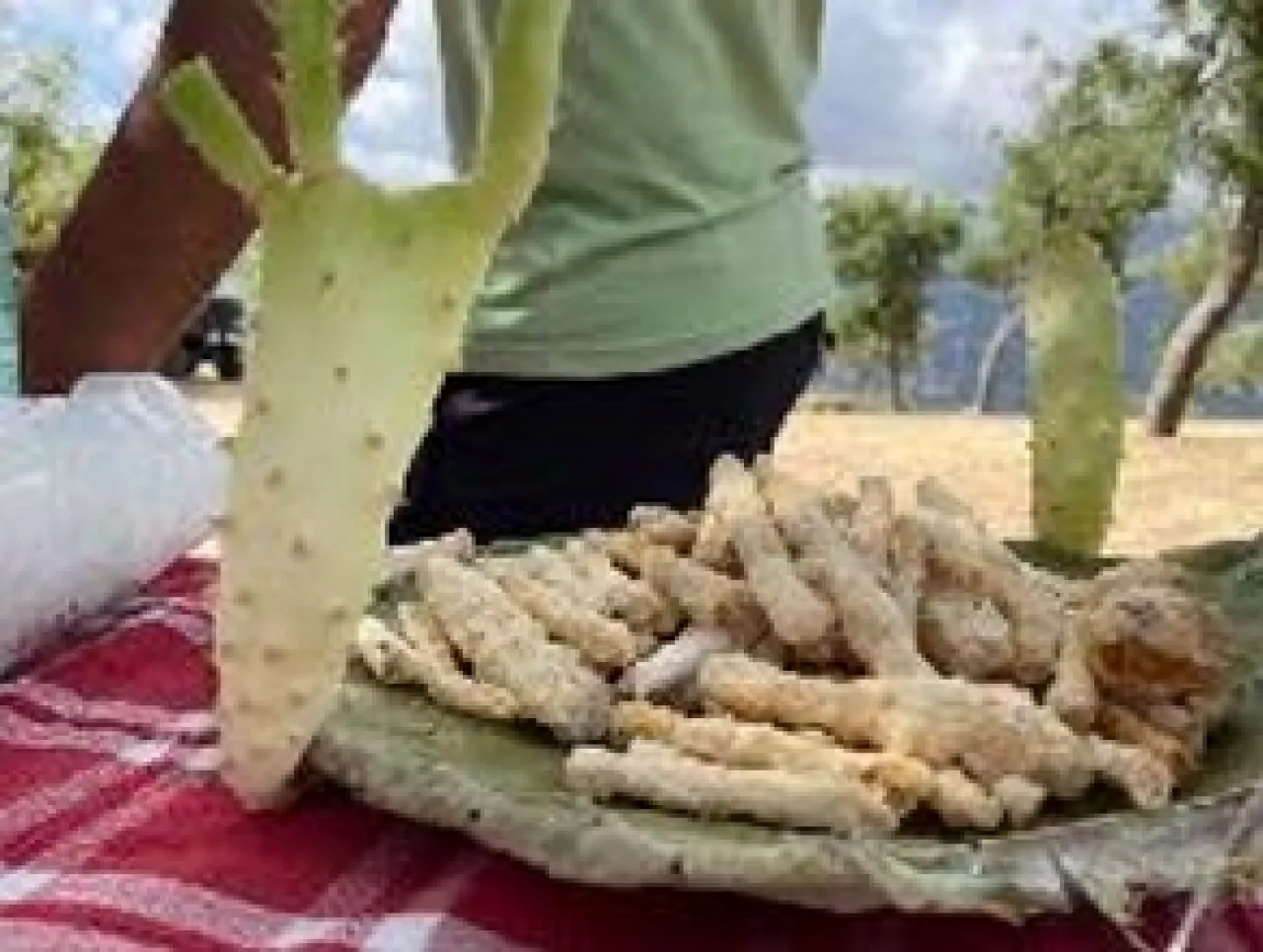 Country experience  - Image 1