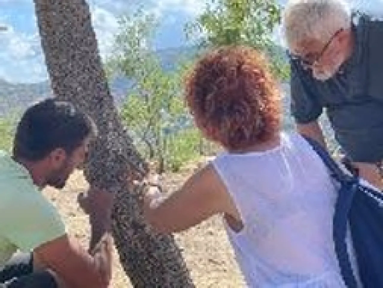 Country experience  - Image 2