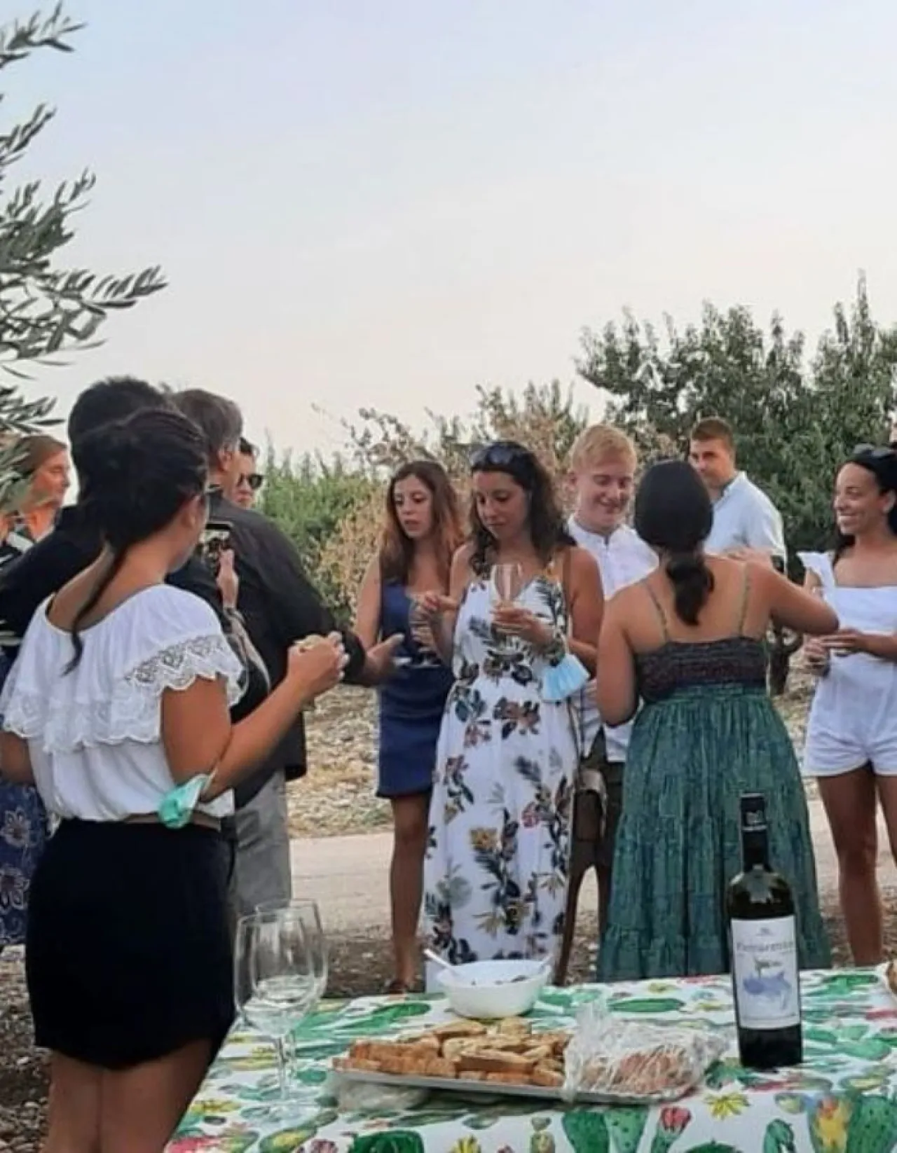 Dalla Vite al Calice - Image 1