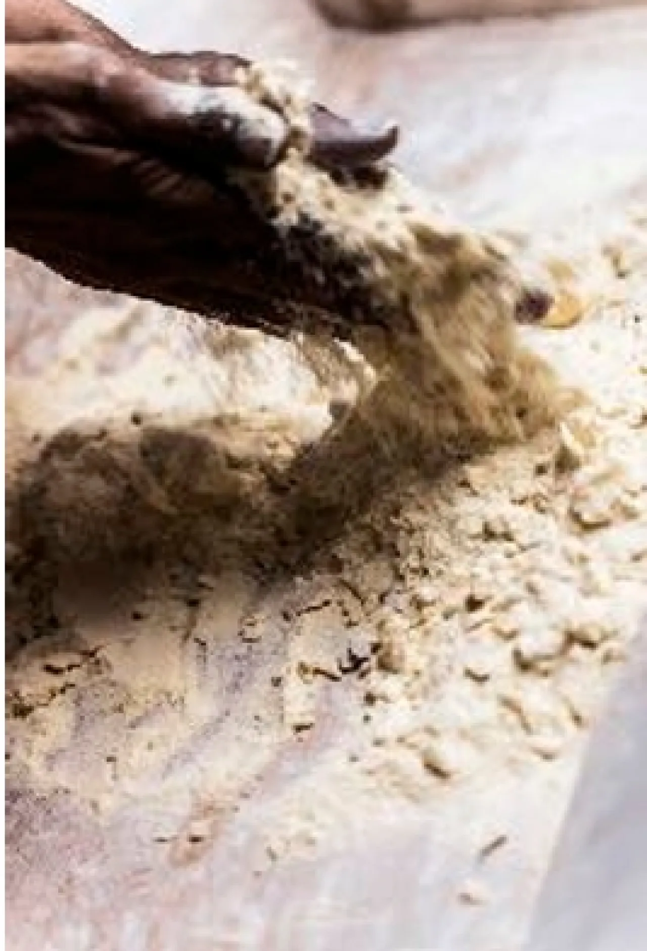 L'arte del pane e della pizza 