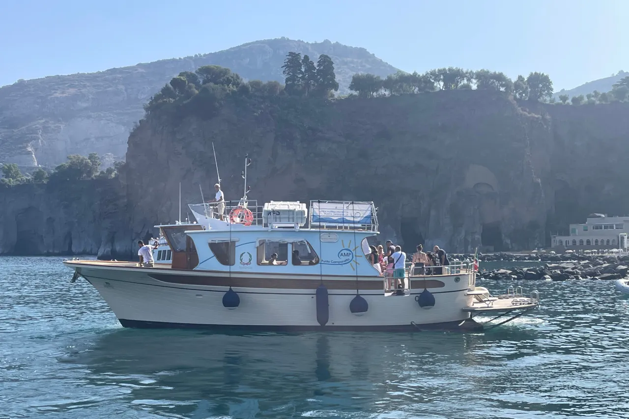 Noleggio Scorfanella