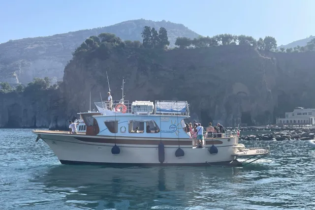 Noleggio Scorfanella