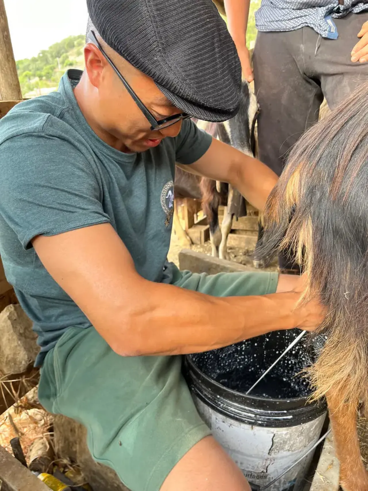 Shepherd experience  - Image 1