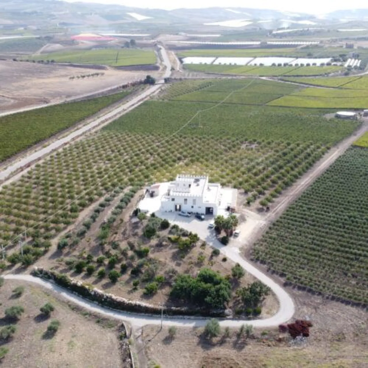 Dalla Vite al Calice - Image 3