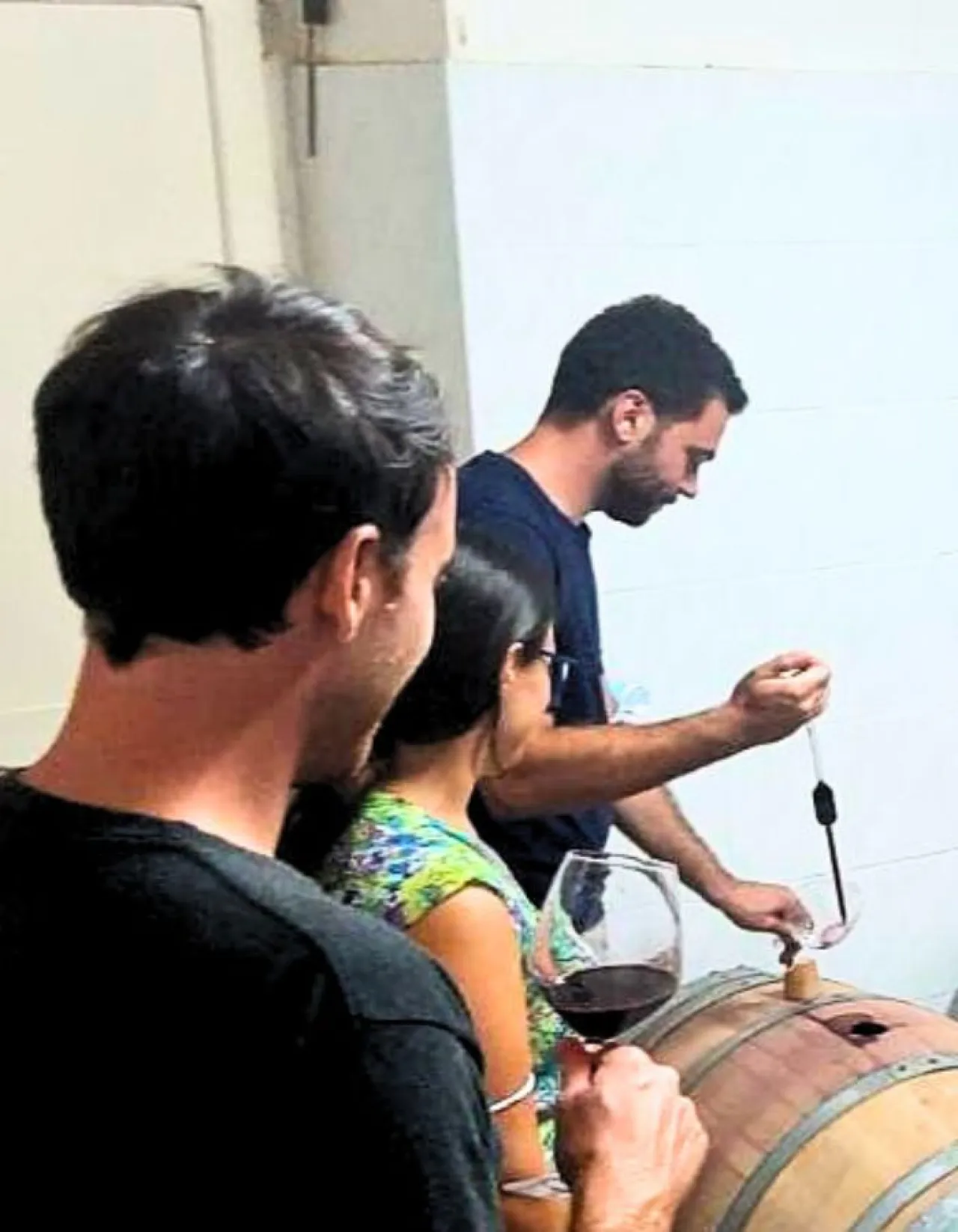 Dalla Vite al Calice