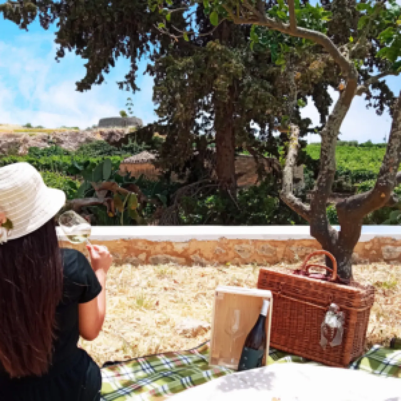 Picnic Among the Vine Rows