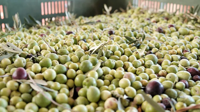 Dagli Ulivi alla Tavola Siciliana