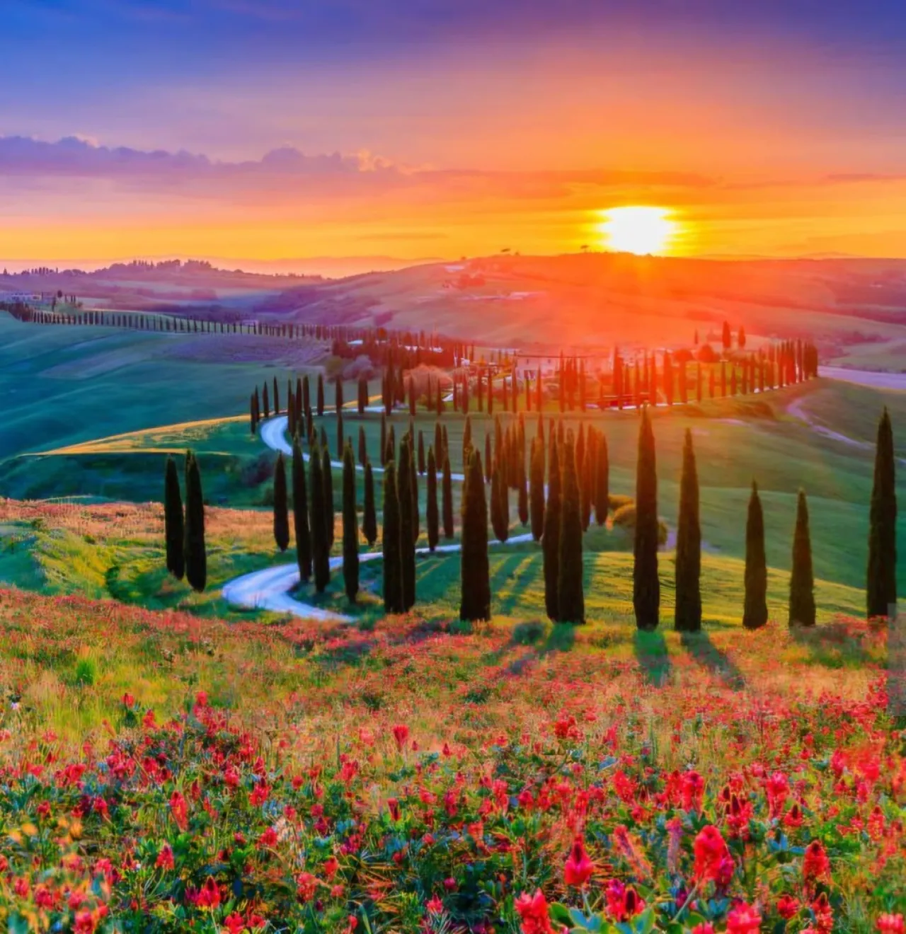 Heart of Chianti Tour