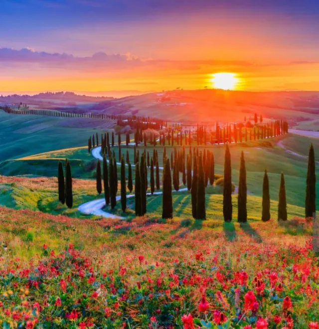 Tour nel cuore del Chianti