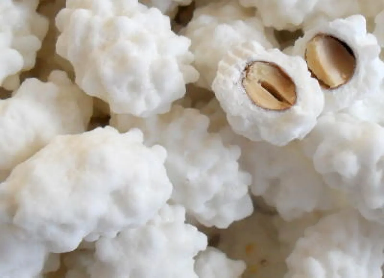  Delights and Gourmets Tour in Pistoia - Image 4