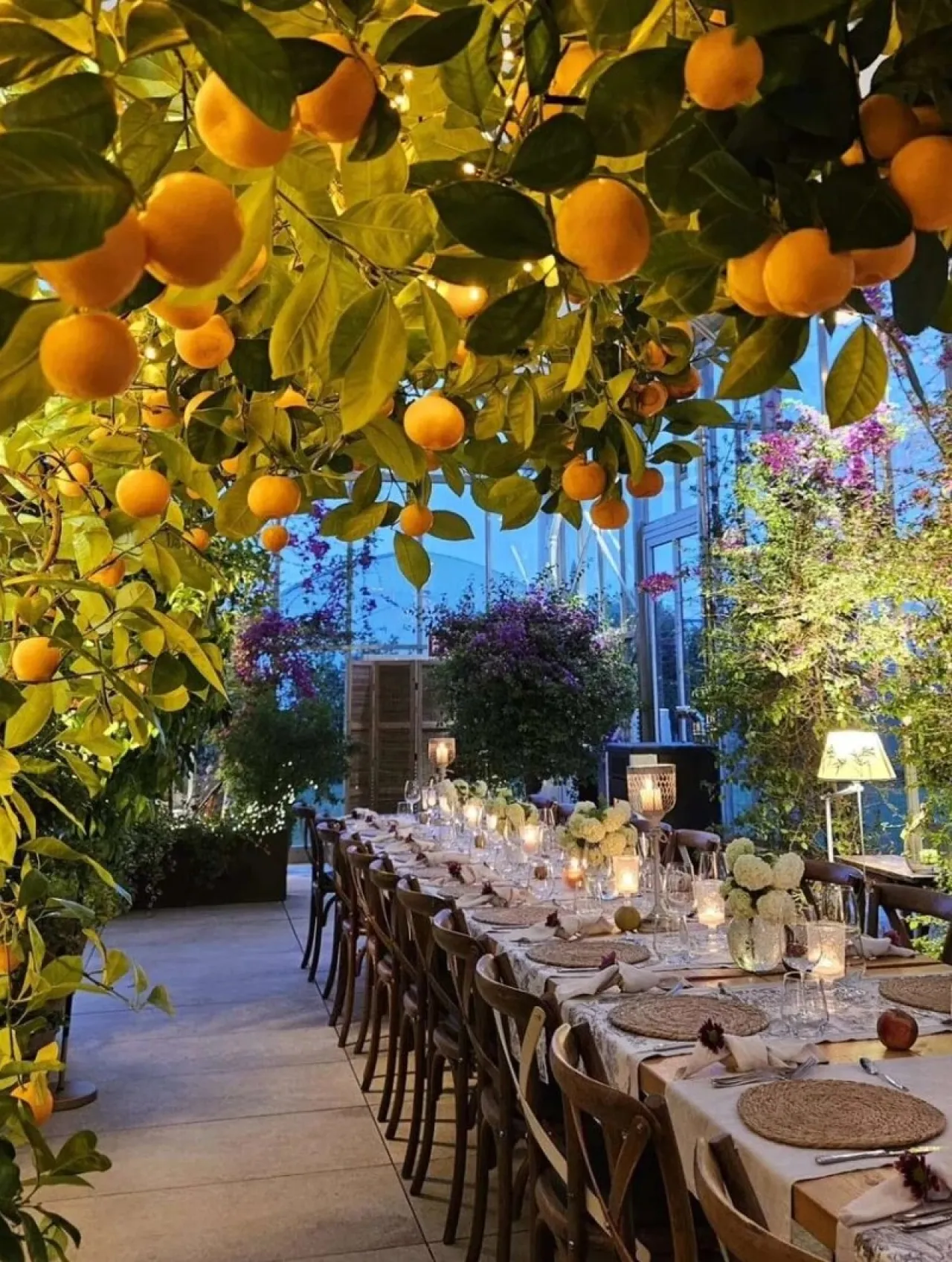 Profumo di agrumi: viaggio tra natura e gusto