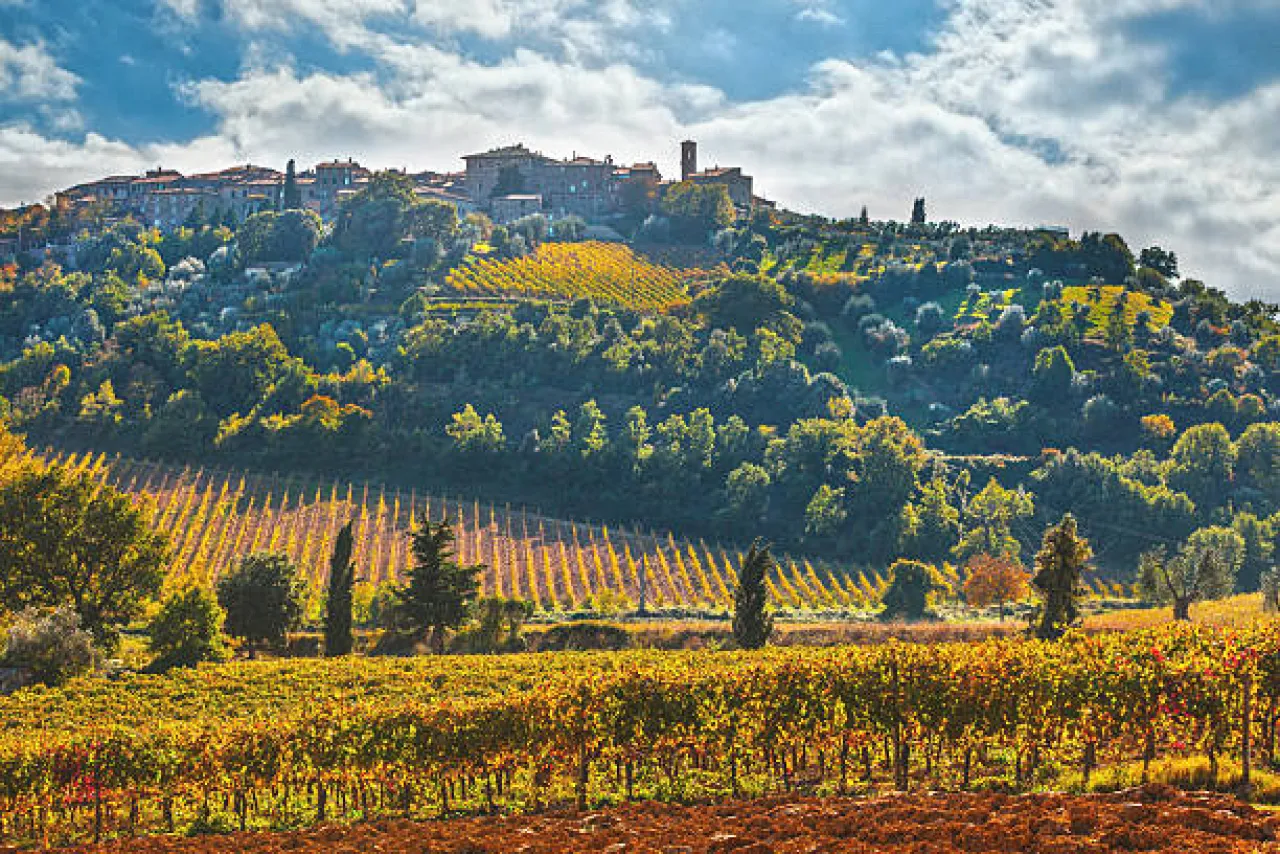 Discover Brunello di Montalcino with a Private Tour - Image 1