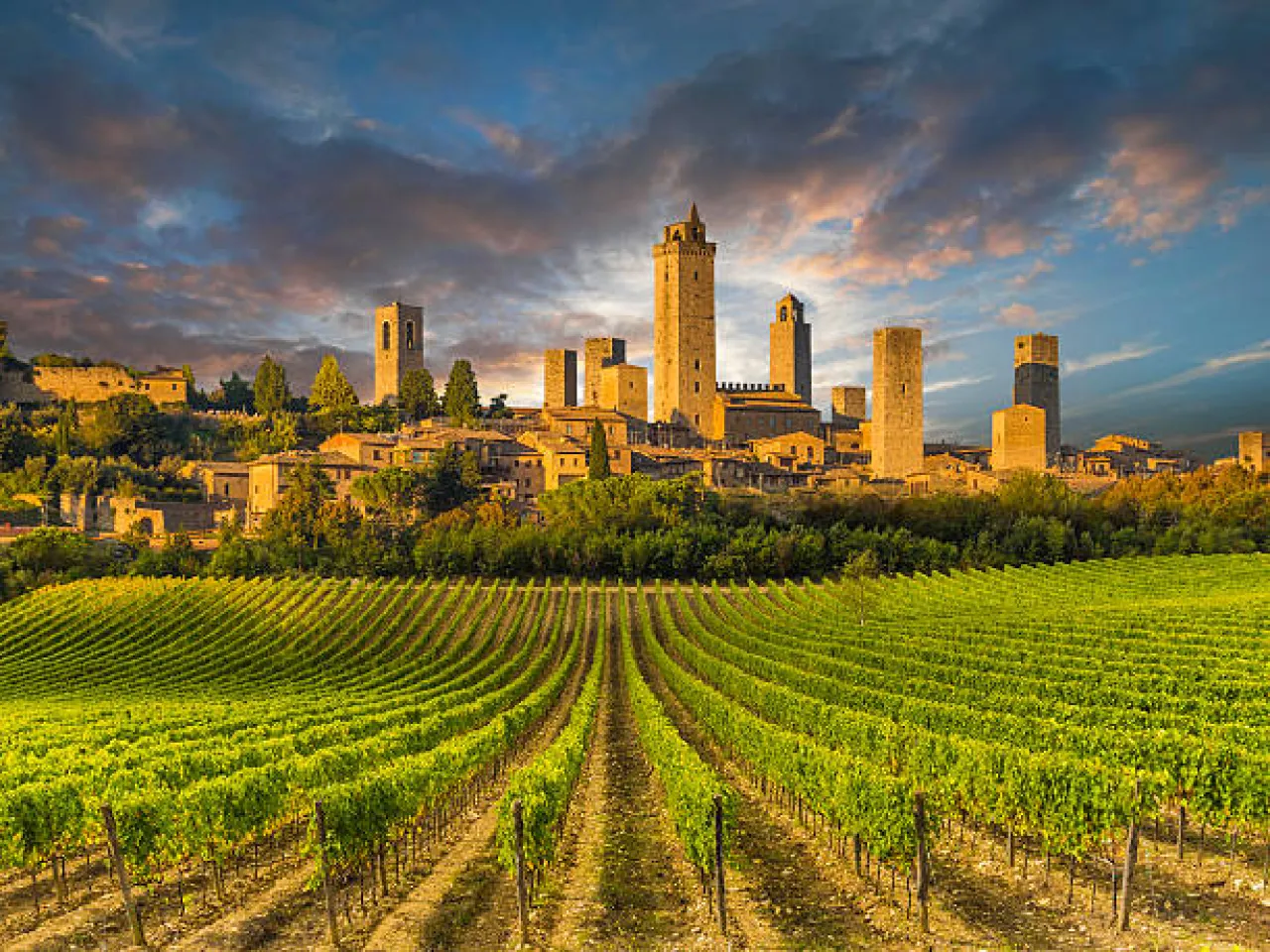 Discover San Gimignano, Siena, and Chianti with a Private Tour