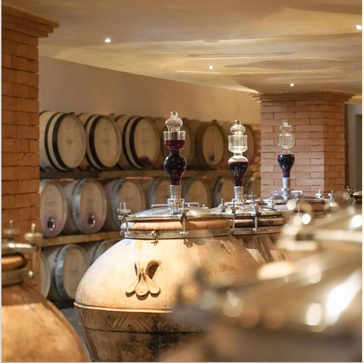 Nel Cuore della Toscana: Arezzo tra Cultura e Cantine - Image 4