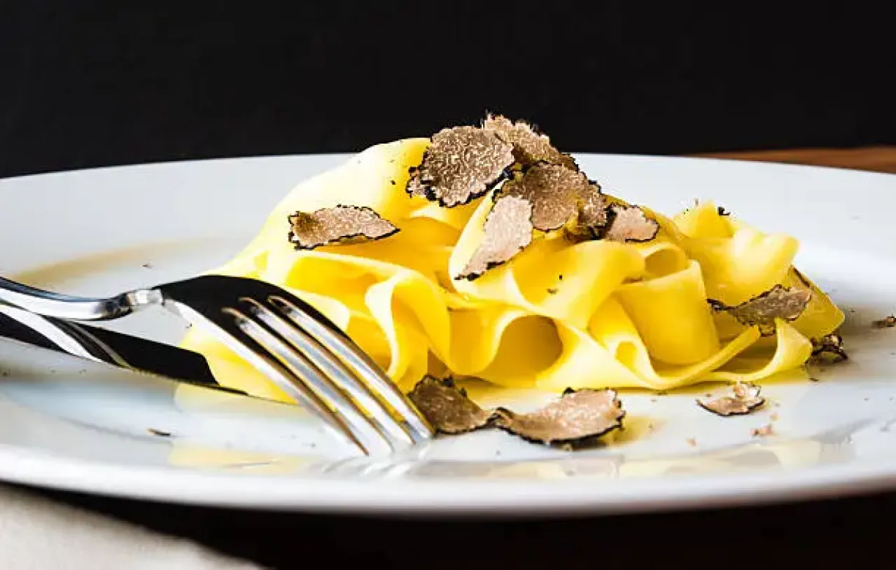 Dal Bosco alla Tavola: Caccia al Tartufo e Pranzo Toscano   - Image 4