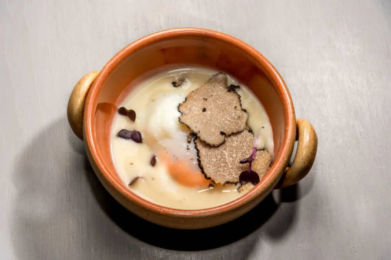 Dal Bosco alla Tavola: Caccia al Tartufo e Pranzo Toscano   - Image 5