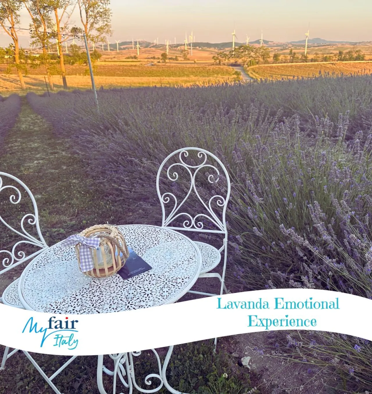 Lavanda Sensation