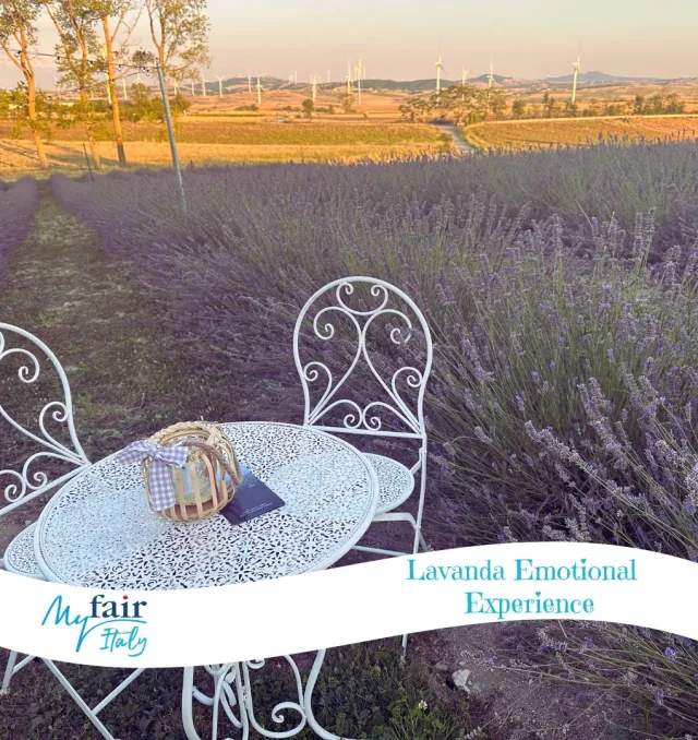Lavanda Sensation