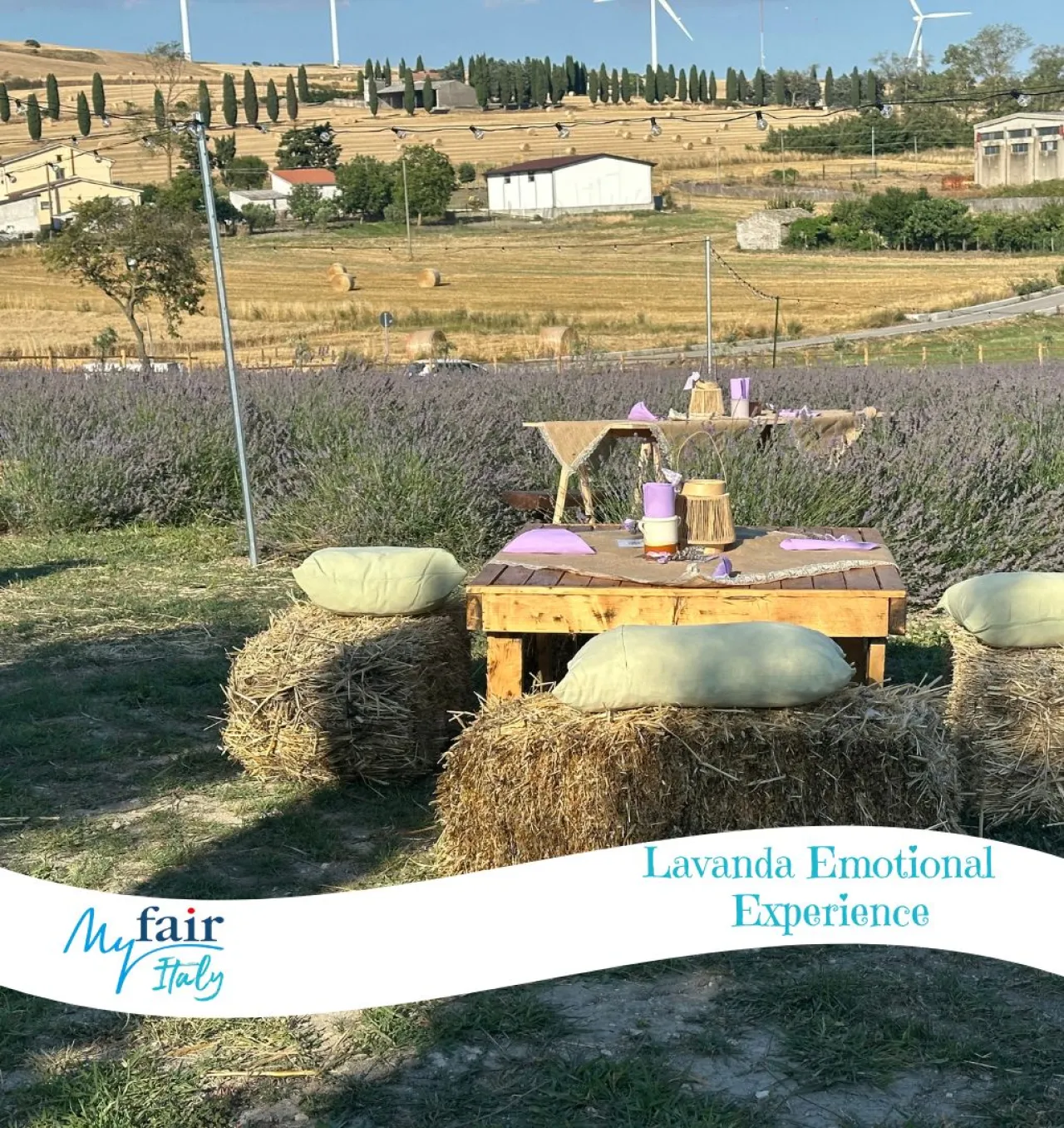 Lavanda Sensation - Image 1