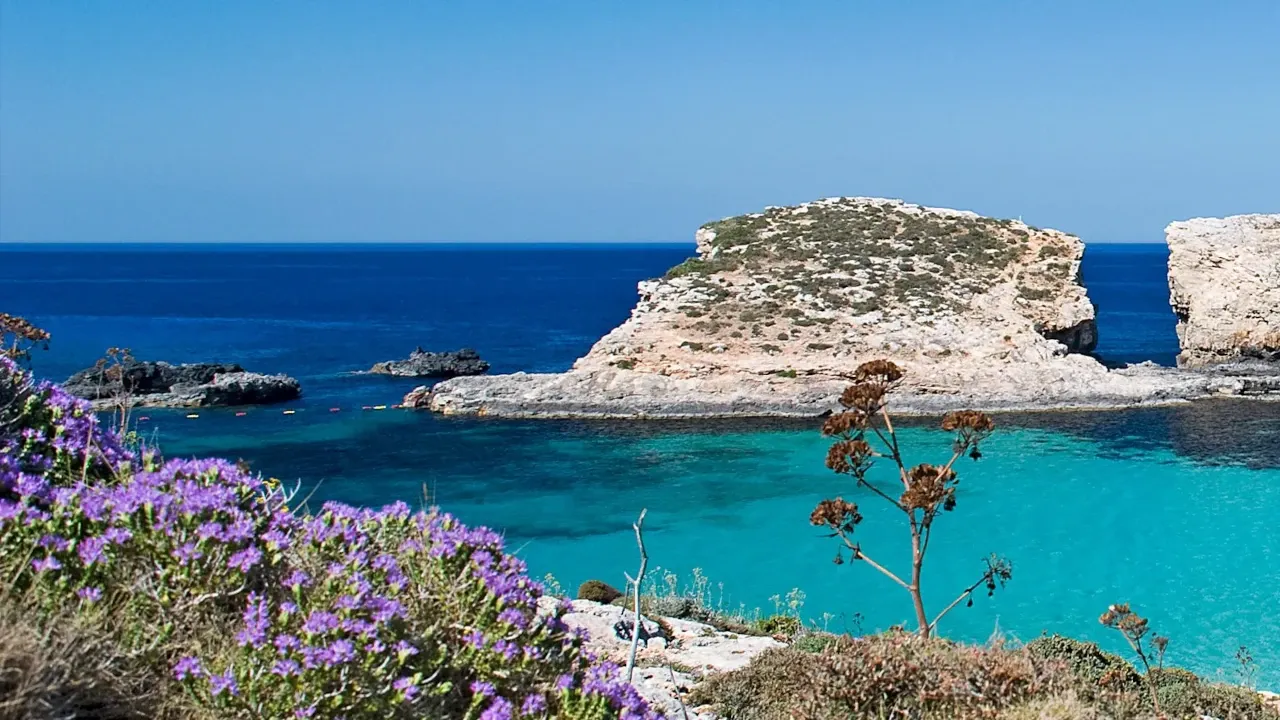 Crocera nel mediterraneo MSC Splendida