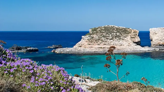 Crocera nel mediterraneo MSC Splendida