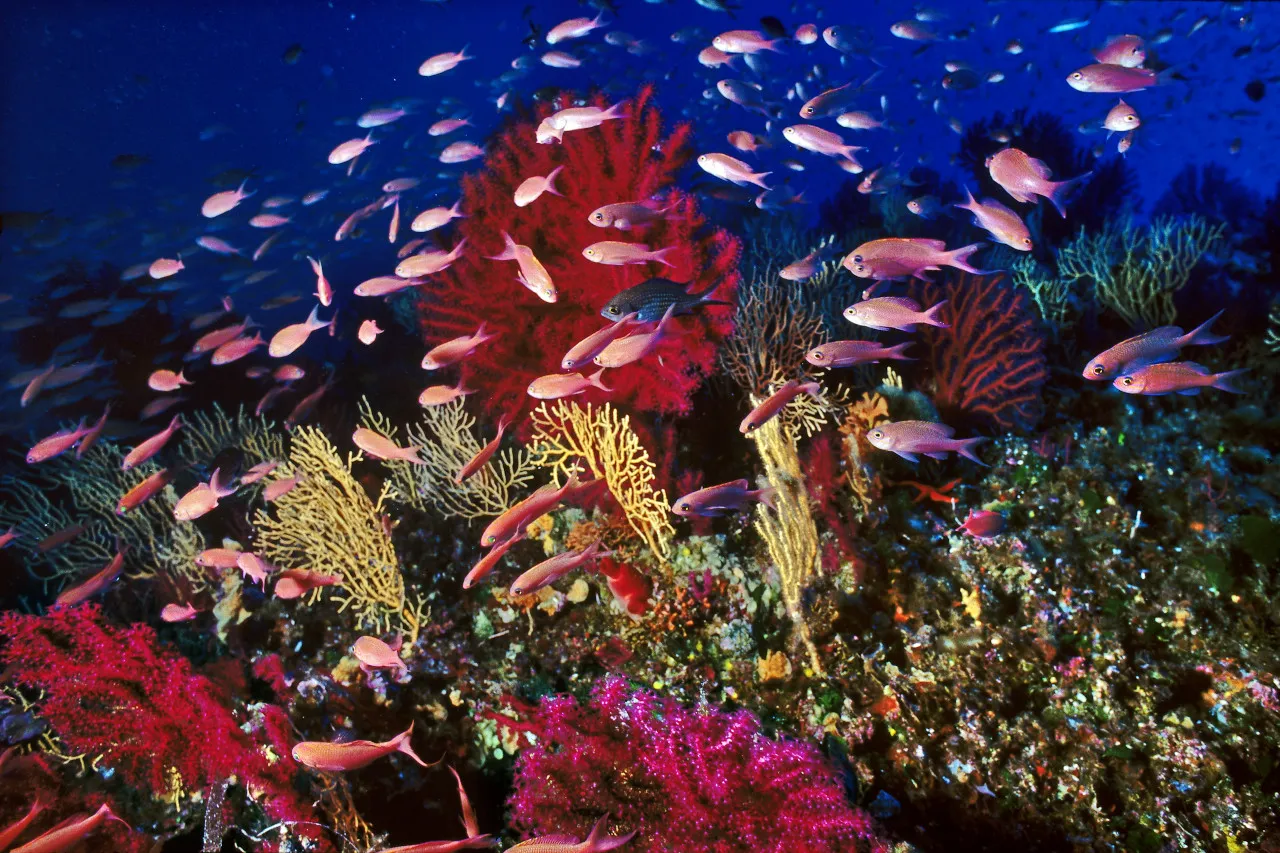 Tour premium - Image 3