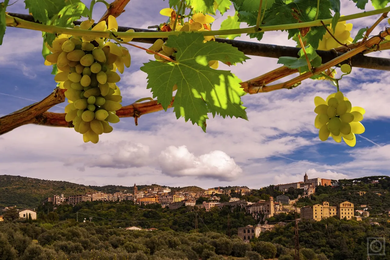Pizzutello di Tivoli  Experience