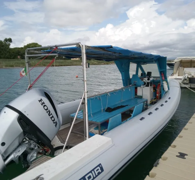 Caccia ai tesori del mare