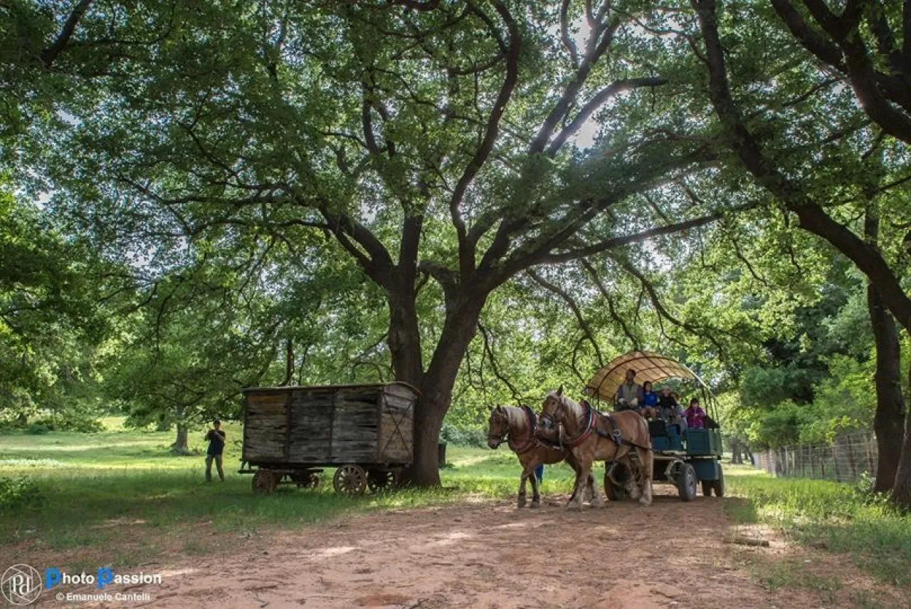 In carrozza nel Parco dell'Uccellina