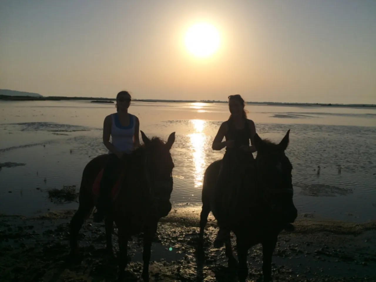 Passeggiata a cavallo: in collina o in laguna