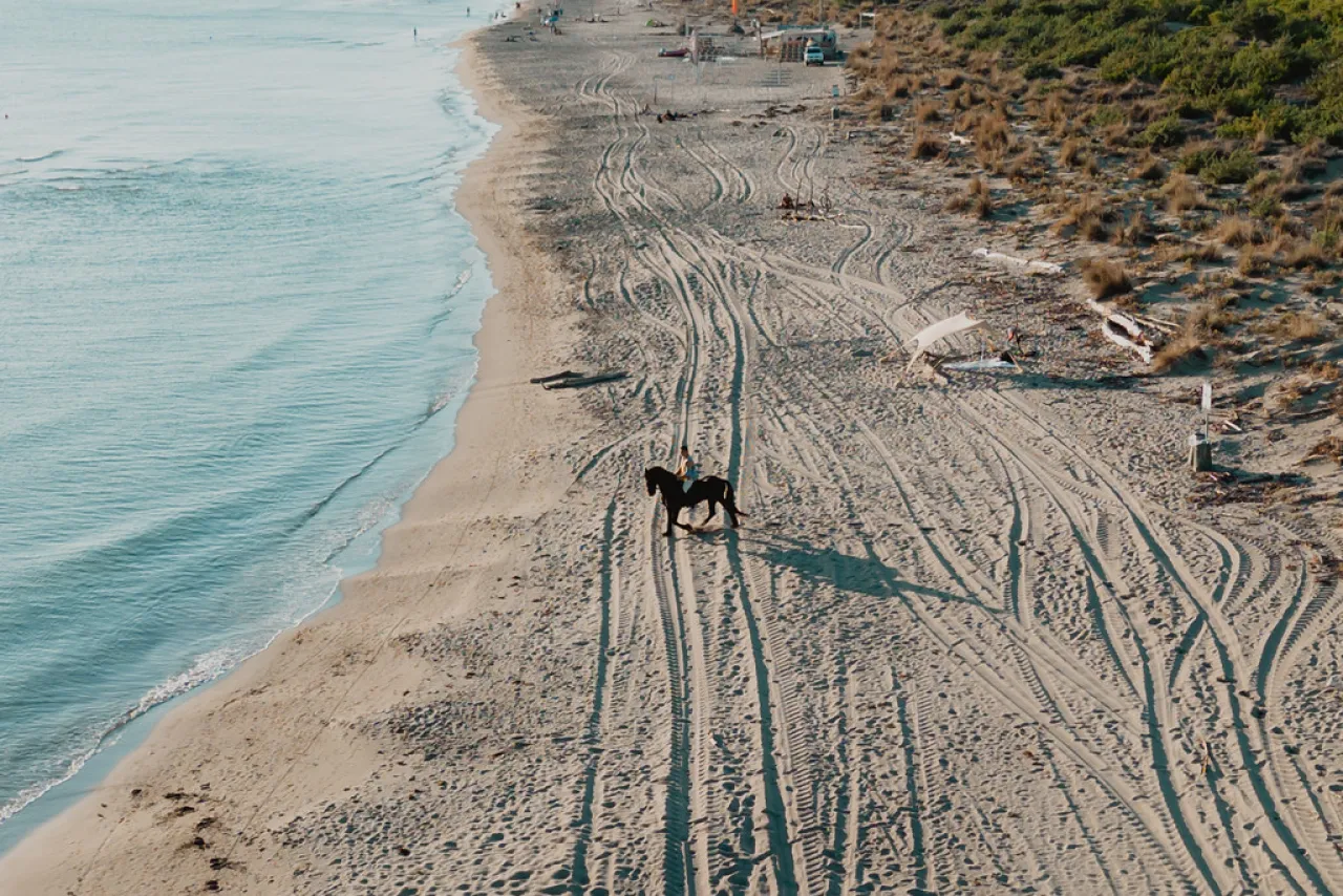 Passeggiata a cavallo in spiaggia