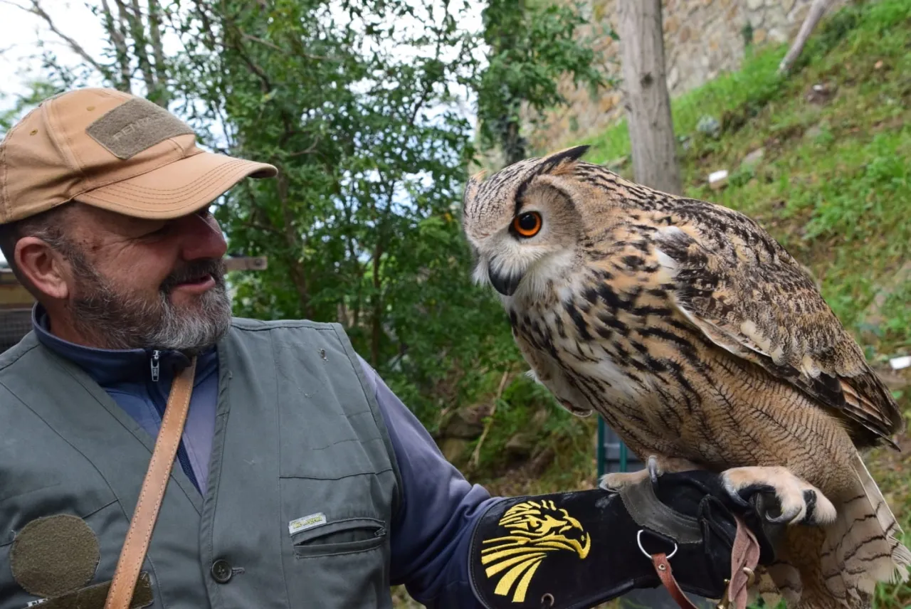 Falconieri per un giorno