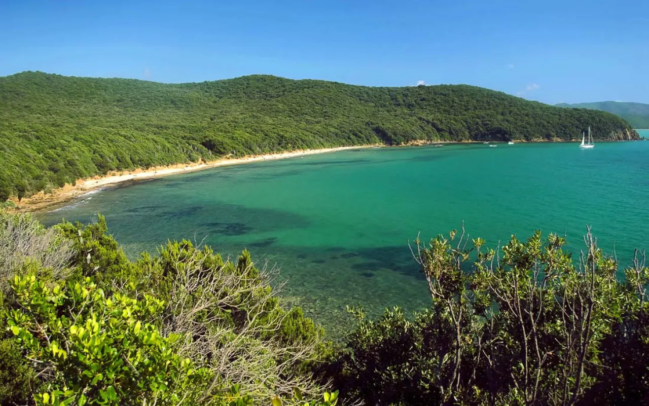 Cala Violina by boat