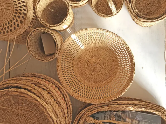 Making Panari Experience