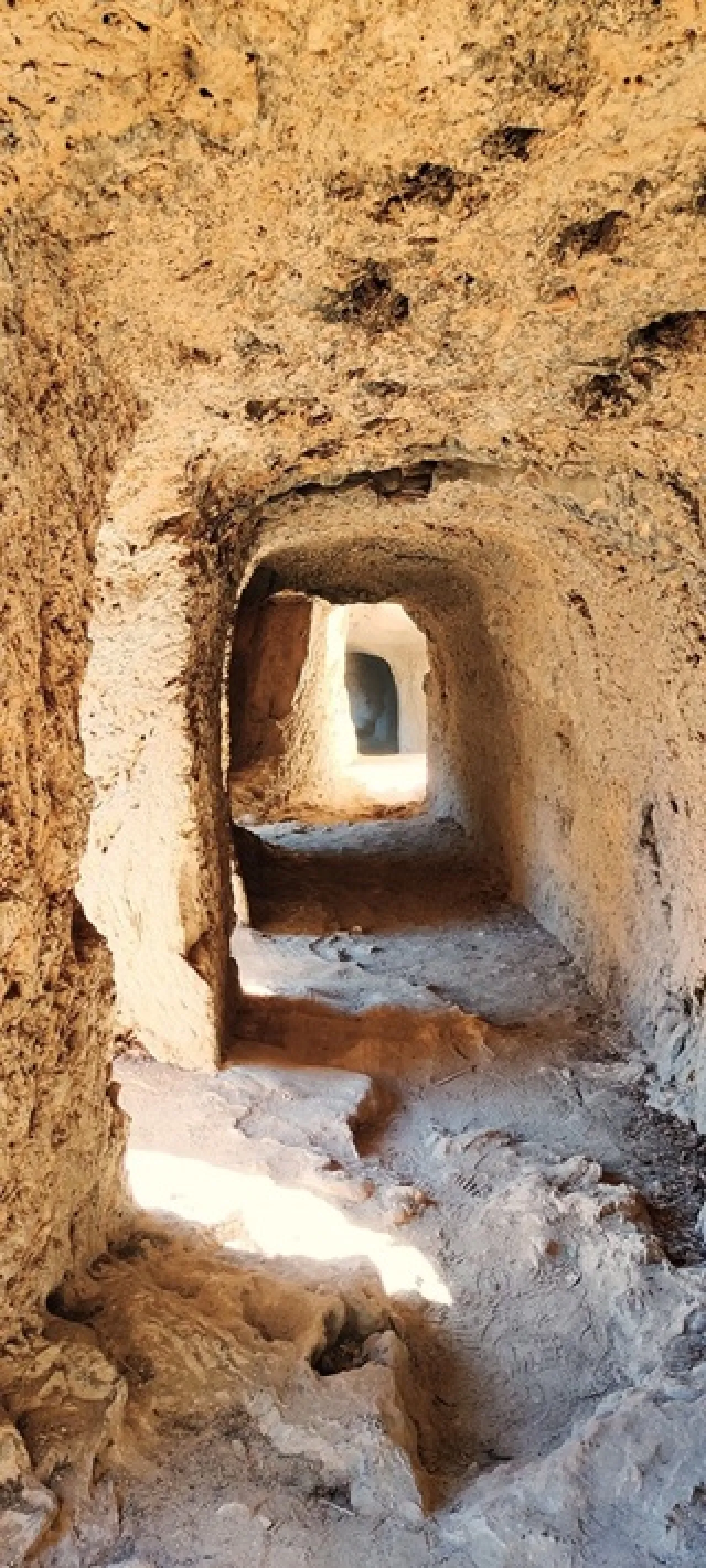 Colazione Gregoriana all’Alba - Image 8